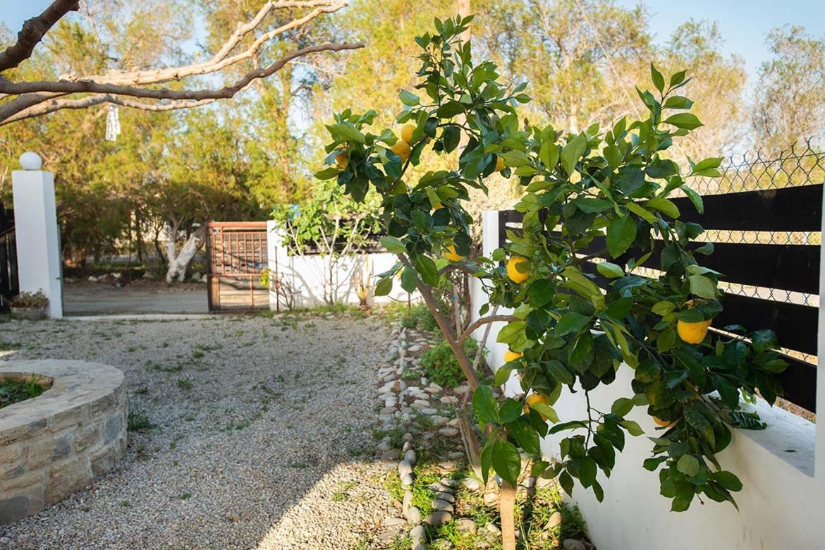 Afrathias Beachhouse - Cretan Hideaway Kalamaki  Extérieur photo
